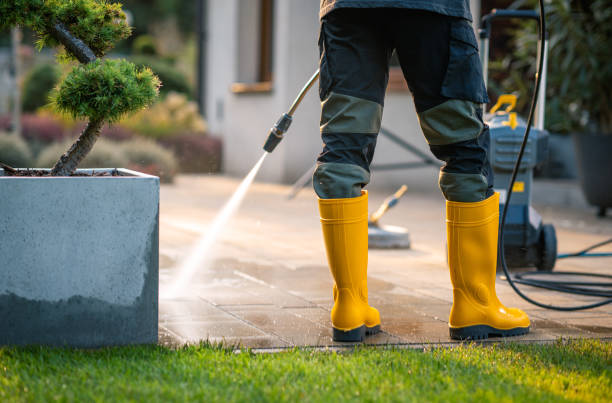 Best Exterior Home Cleaning  in Midway, AR